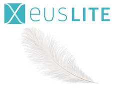 Illustration for the blog post.